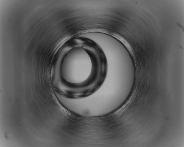 X0000095530809200712141501