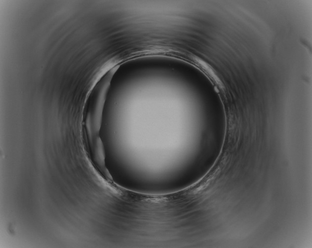 X0000095530810200712141501