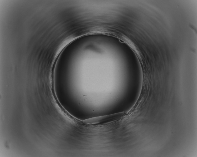 X0000095530811200712141501