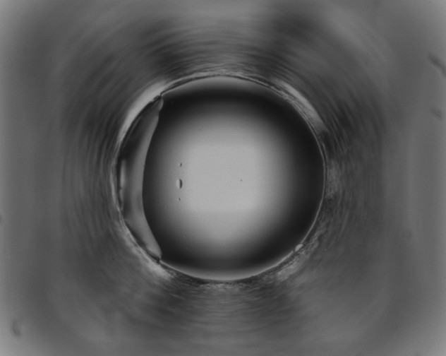 X0000095530812200712141501