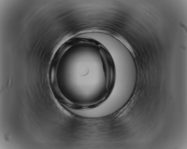 X0000095530813200712141501
