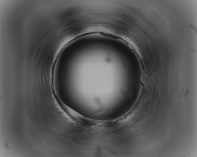 X0000095530815200712141501