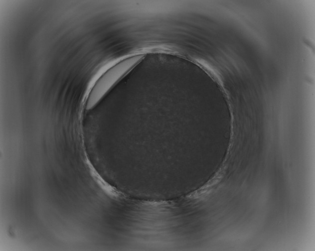 X0000095530816200712141501
