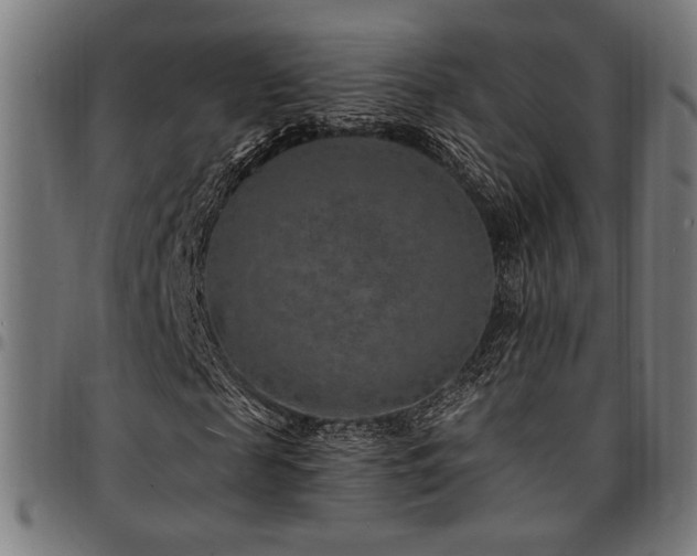 X0000095530817200712141500
