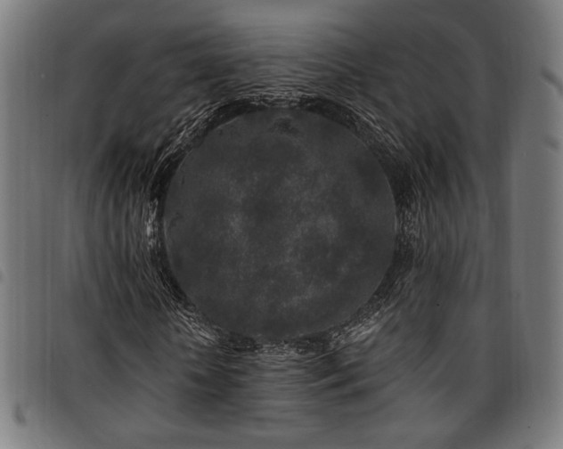 X0000095530818200712141500