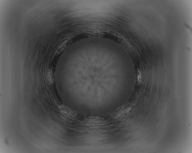 X0000095530819200712141500