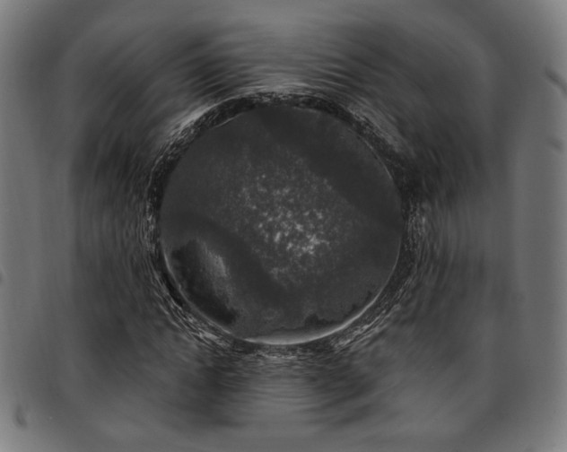 X0000095530822200712141500