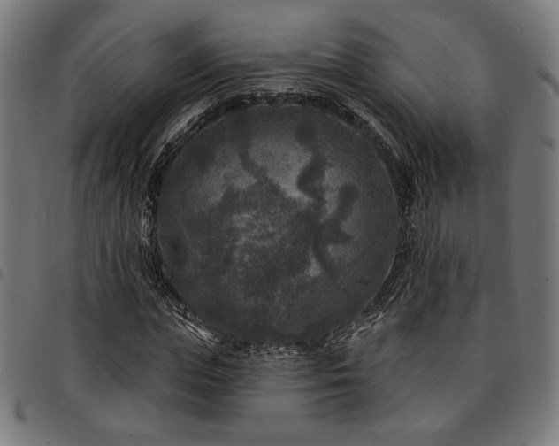 X0000095530823200712141500