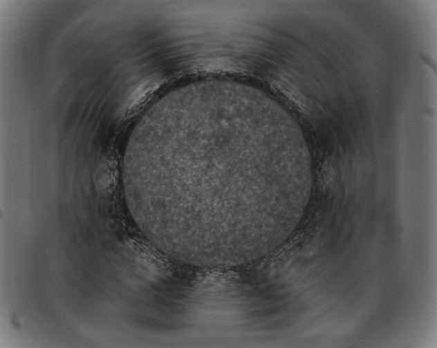 X0000095530824200712141500