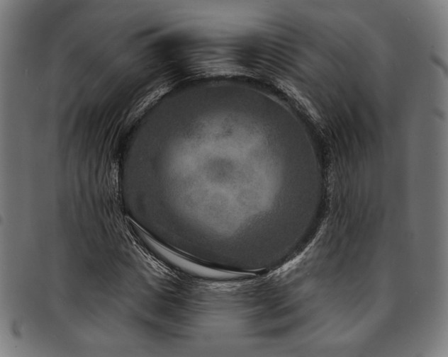 X0000095530825200712141500