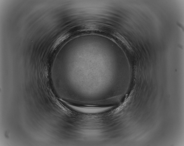 X0000095530826200712141500