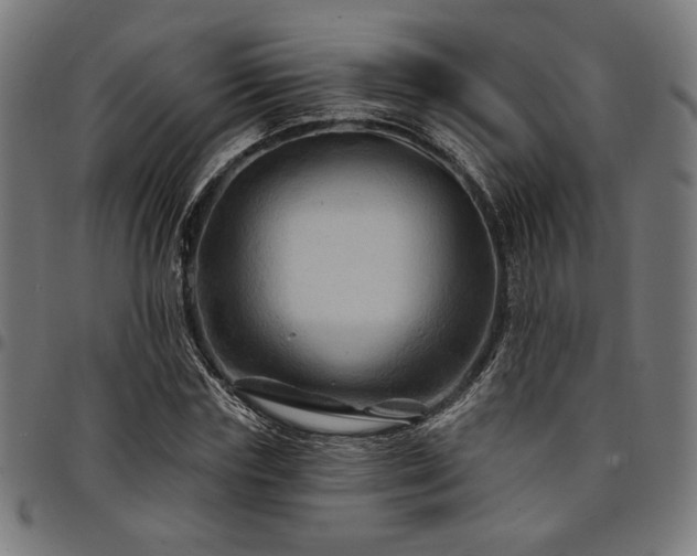 X0000095530827200712141500