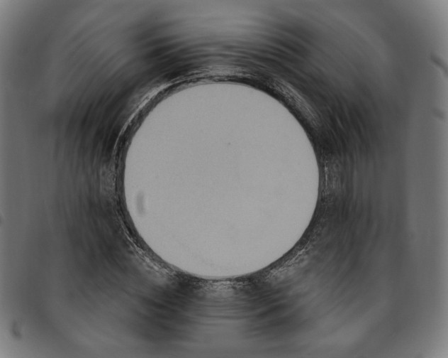 X0000095530828200712141500