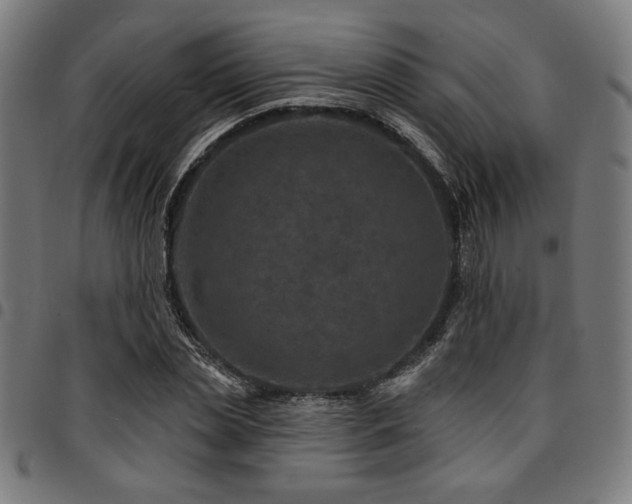 X0000095530829200712141500