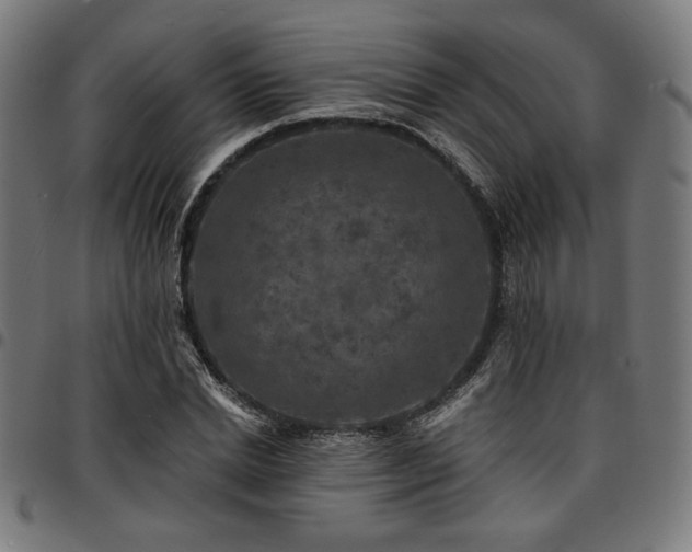 X0000095530830200712141500
