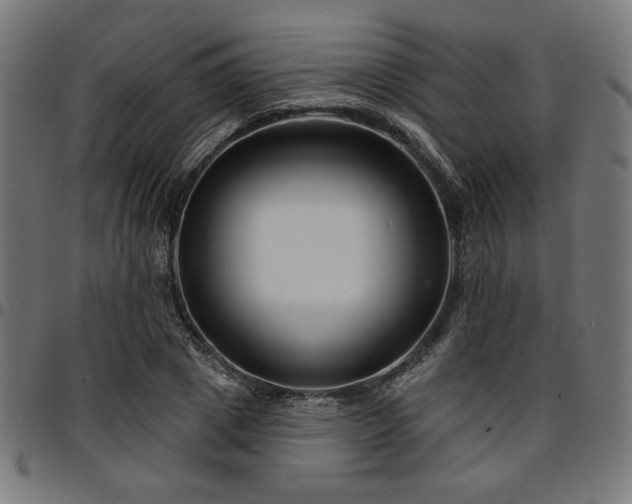 X0000095530833200712141500