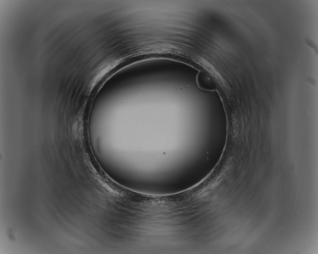 X0000095530834200712141500