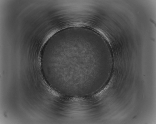 X0000095530835200712141500