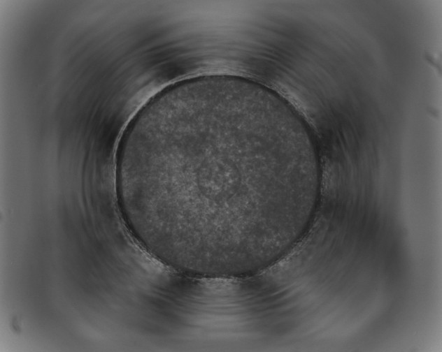 X0000095530836200712141500