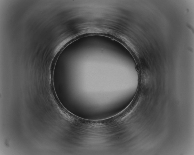 X0000095530837200712141500