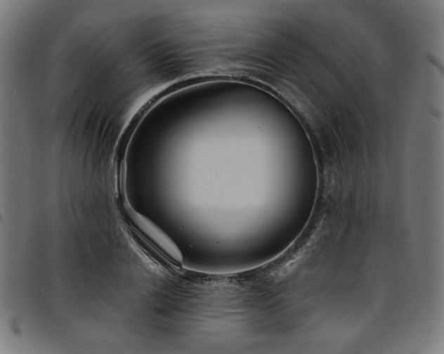 X0000095530838200712141500