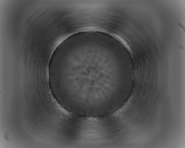 X0000095530839200712141500
