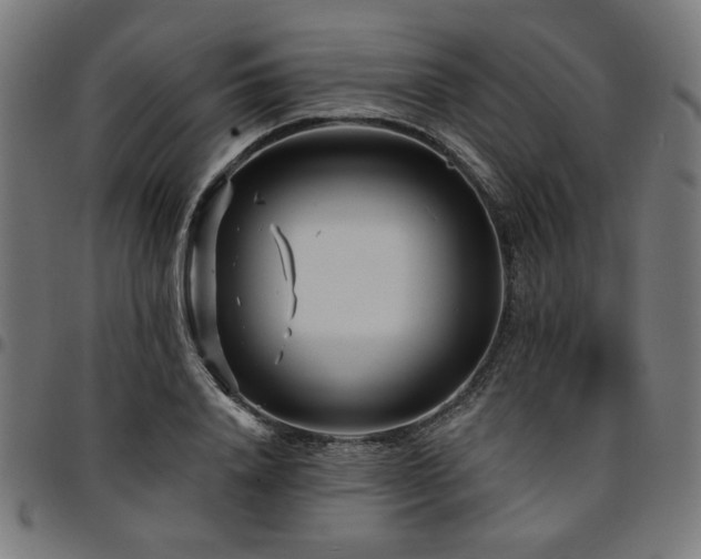 X0000095530840200712141500