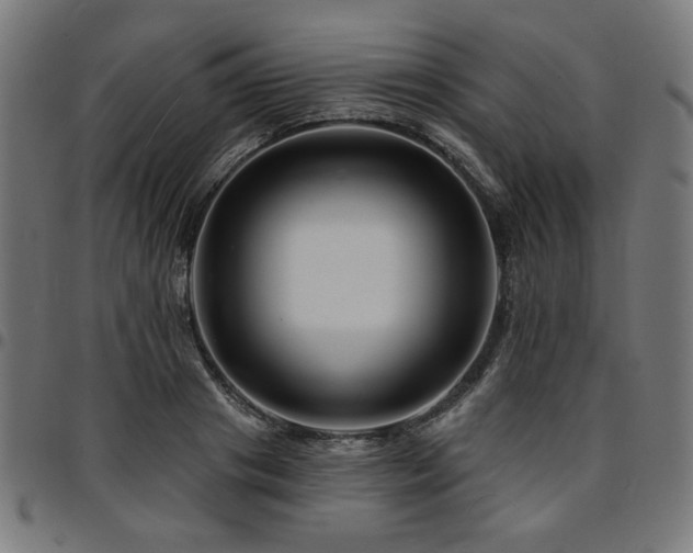 X0000095530841200712141500