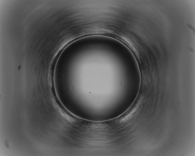 X0000095530843200712141500