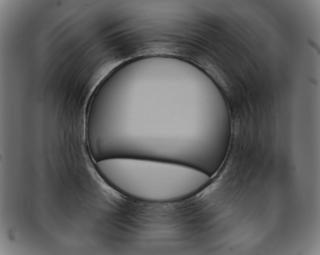 X0000095530844200712141500