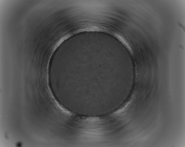 X0000095530845200712141500