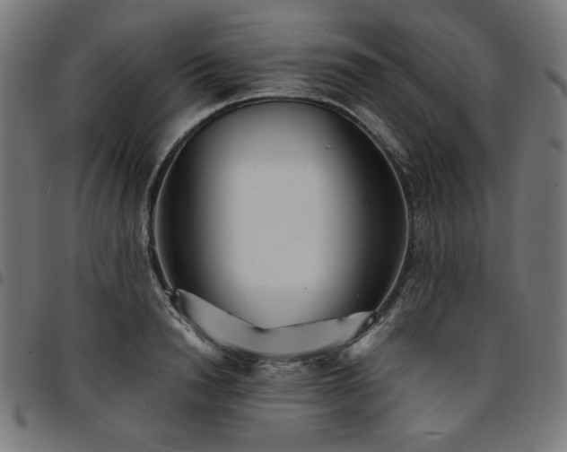 X0000095530846200712141500