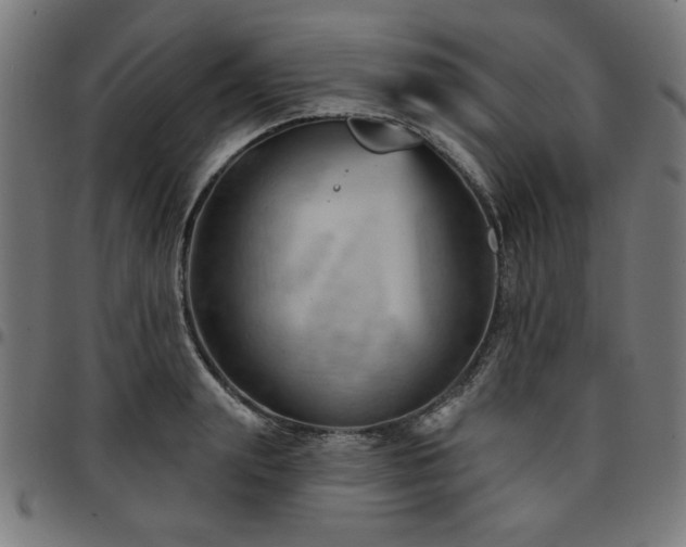 X0000095530847200712141500