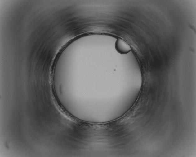 X0000095530848200712141500