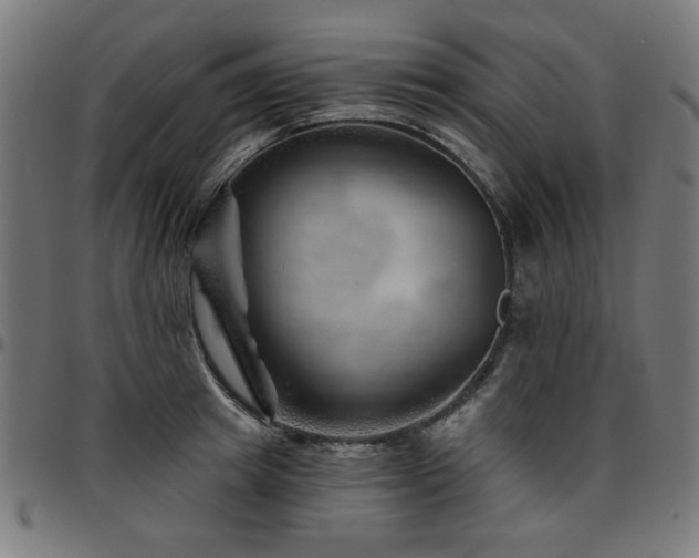 X0000095530849200712141500
