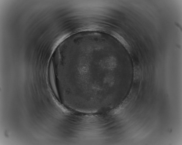 X0000095530850200712141500