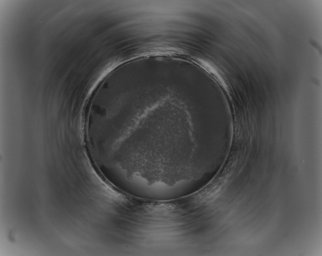 X0000095530851200712141500