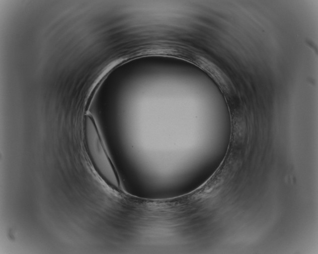 X0000095530852200712141500