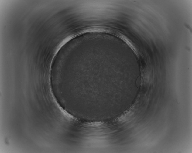 X0000095530853200712141500
