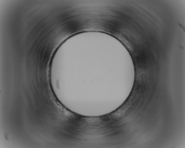 X0000095530856200712141500