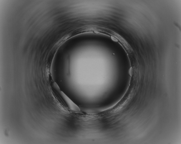 X0000095530857200712141500