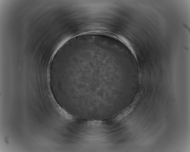 X0000095530859200712141501