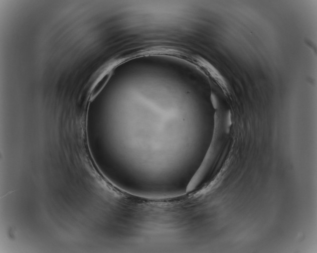 X0000095530860200712141501