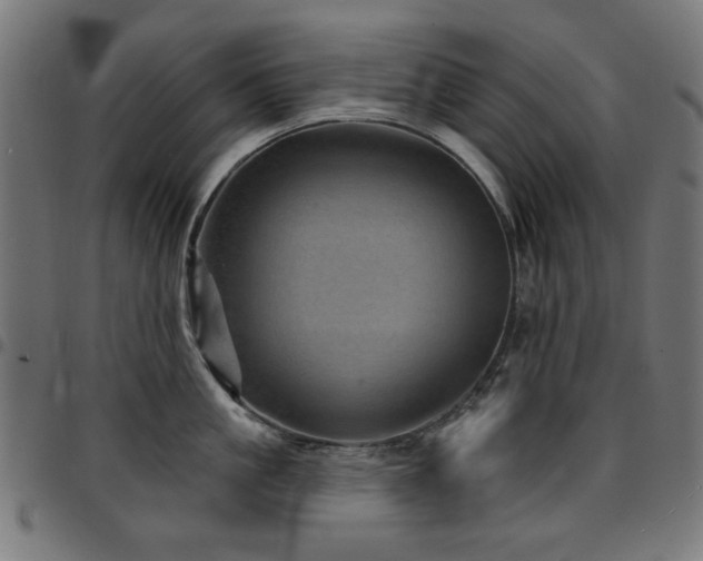 X0000095530861200712141501