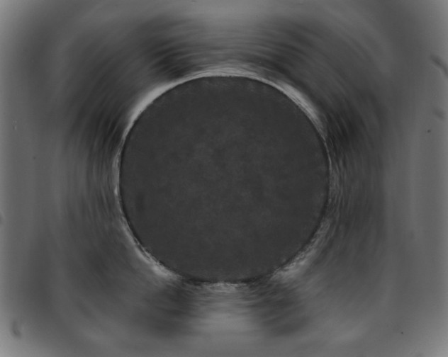 X0000095530862200712141501