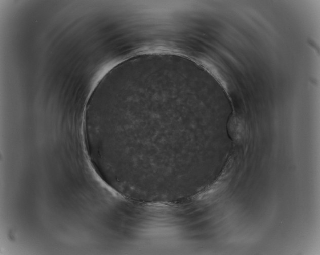 X0000095530863200712141501