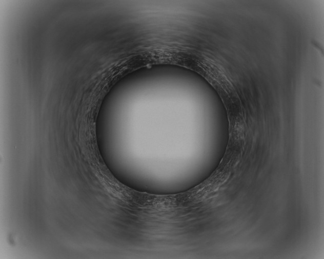 X0000095530865200712141500