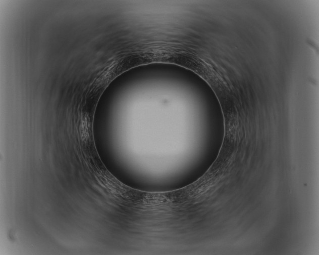 X0000095530866200712141500