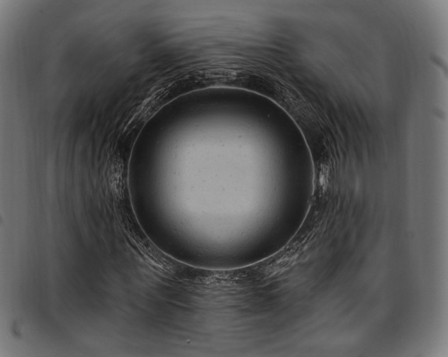X0000095530867200712141500