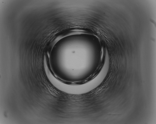X0000095530868200712141500
